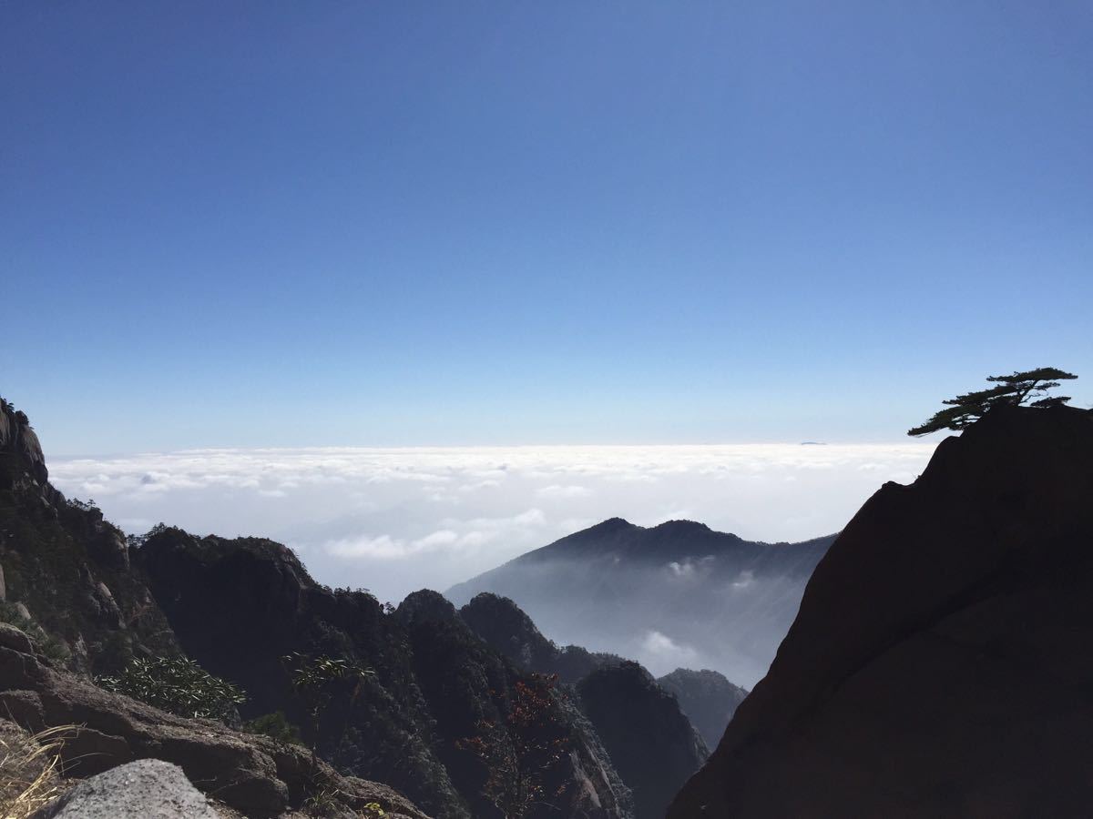 重大消息！今日起招標(biāo)新規(guī)正式實(shí)施，低于100萬的勘察、設(shè)計(jì)、監(jiān)理；低于400萬工程將不再需要招標(biāo)！