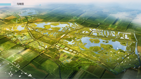 天津市武清區(qū)大黃堡濕地自然保護(hù)區(qū)