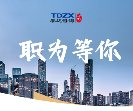 低空經(jīng)濟咨詢項目負責人